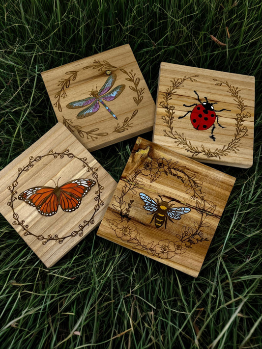 Hand Painted Insect Themed Coasters